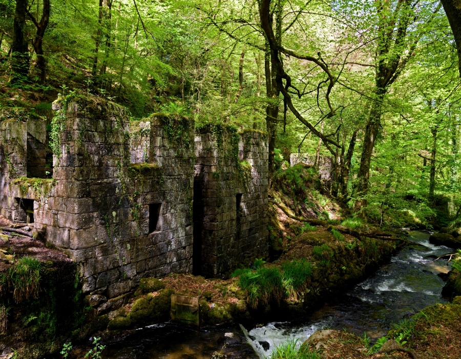 Kennall Vale Incorporating Mills